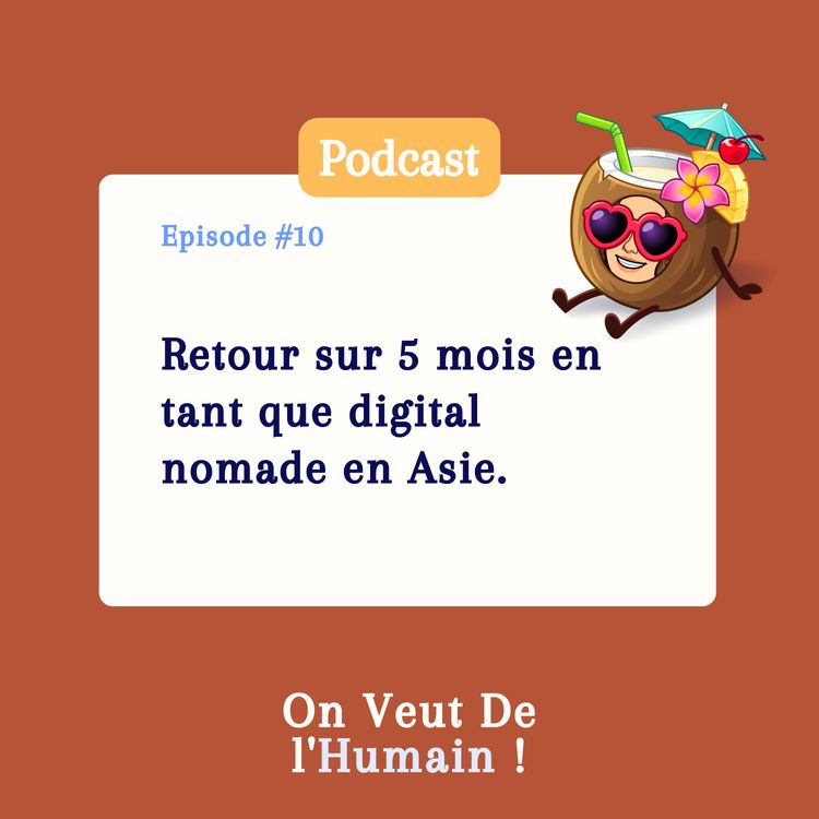 cover art for E10 - Retour sur 5 mois en tant que digital nomade en Asie. 