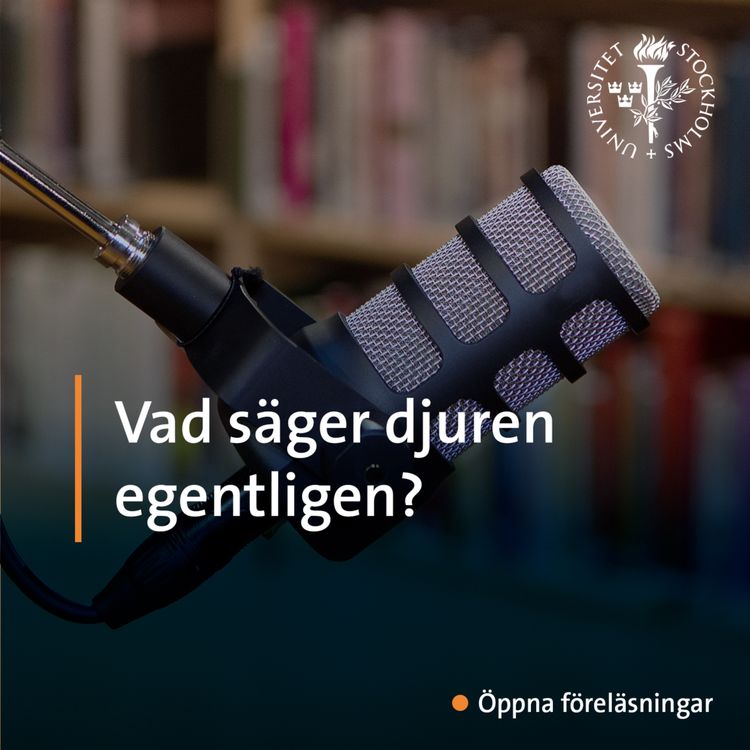 cover art for Vad säger djuren egentligen?