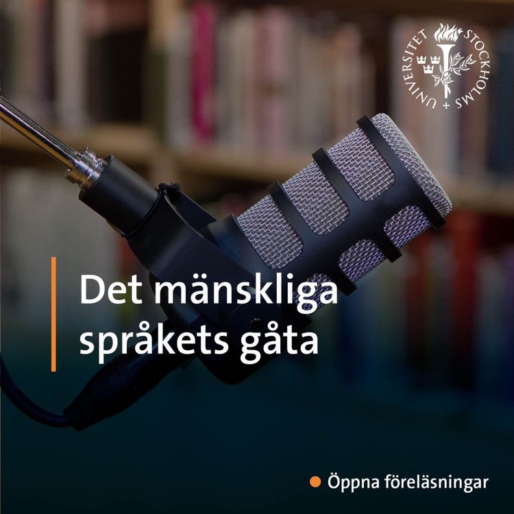 cover art for Det mänskliga språkets gåta