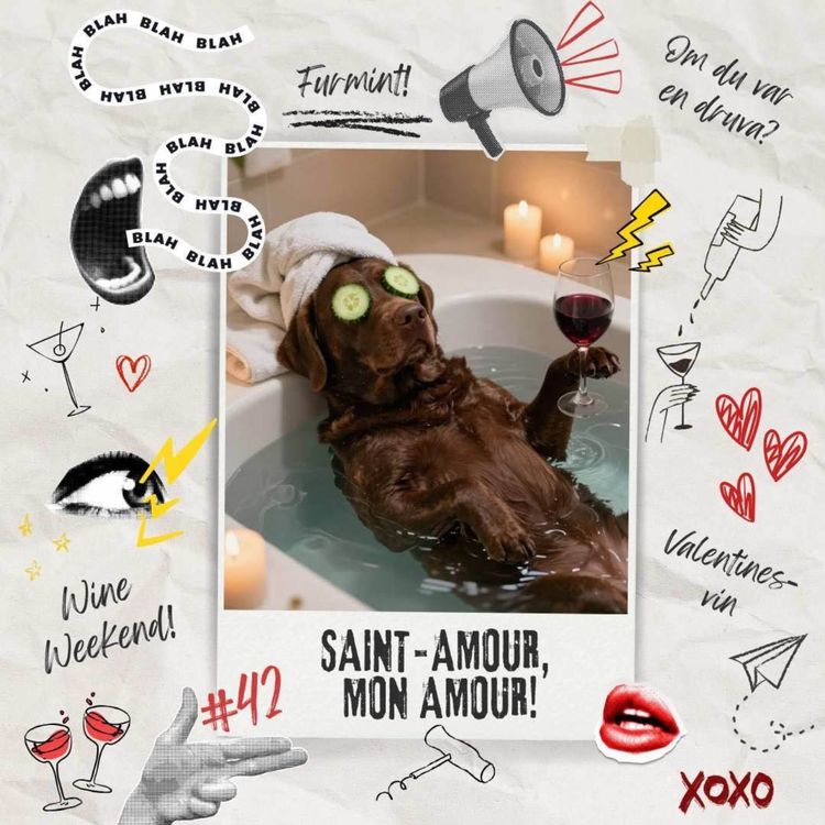 cover art for 42: Saint-Amour, mon amour!