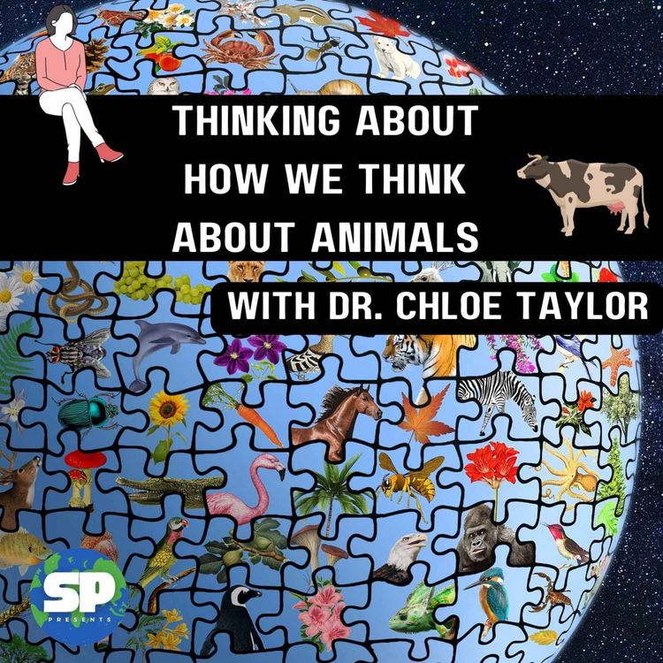 cover art for Thinking About How We Think About Animals with Dr Chloë Taylor