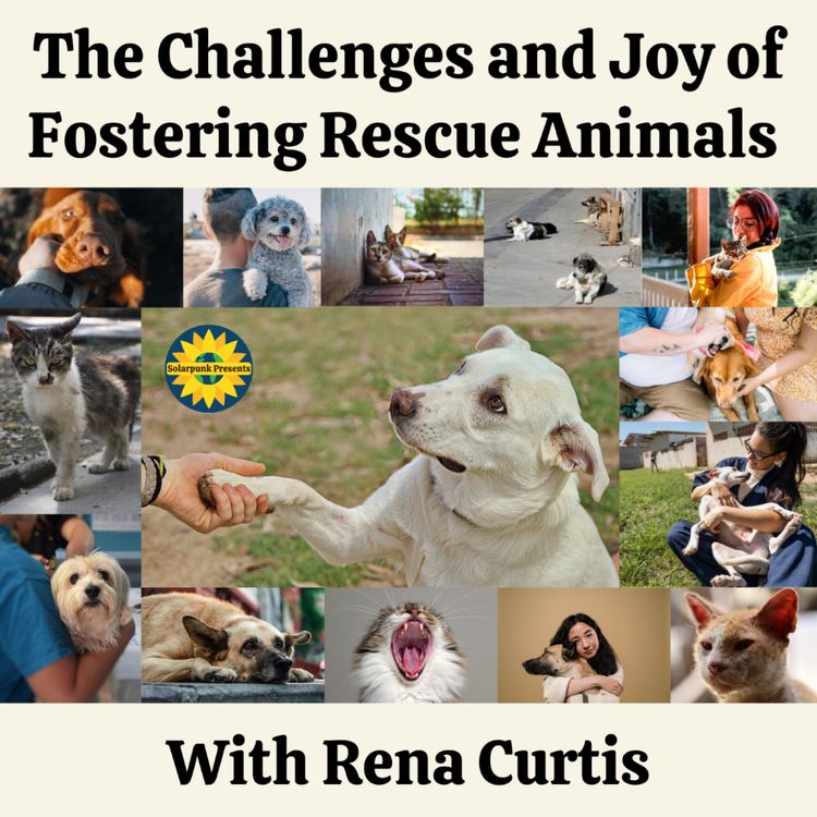 cover art for The Challenges and Joys of Fostering Rescue Animals: With Rena Curtis