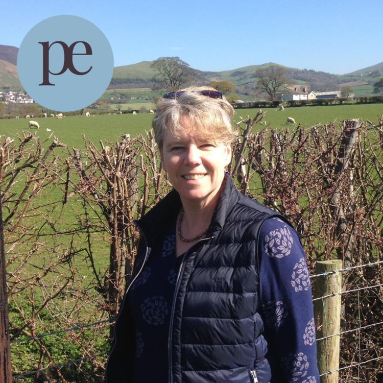 cover art for 96. A Kite for Aibhín by Seamus Heaney - A Friend to Fiona