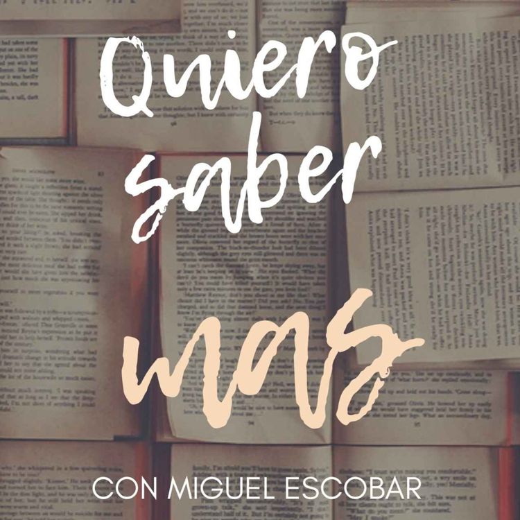 cover art for 19. Desdolarizacion de la economia internacional, aqui vamos otra vez...