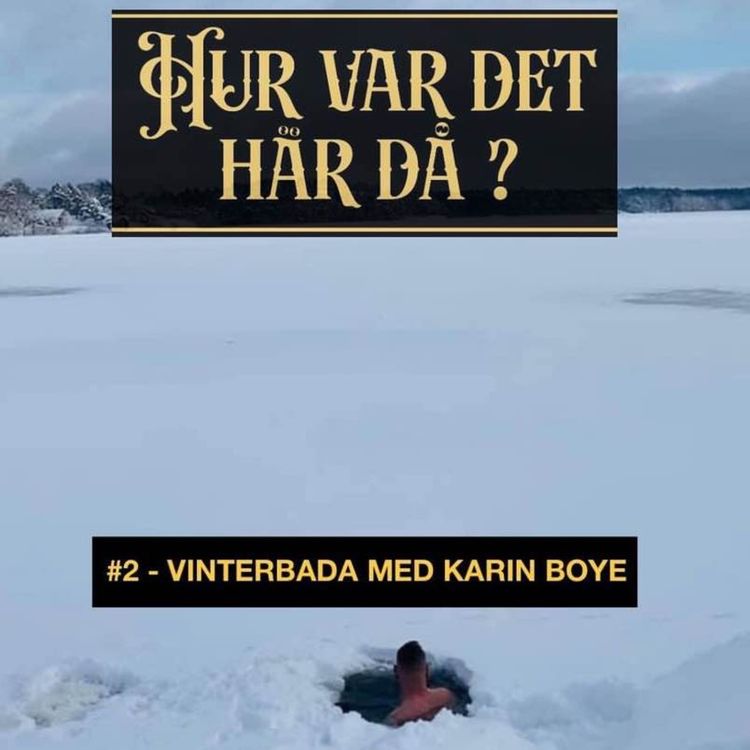 cover art for #2 - Vinterbada med Karin Boye