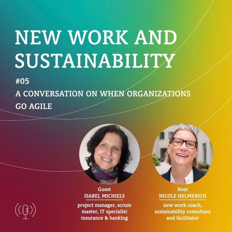 cover art for When organizations go agile w Isabel Michiels