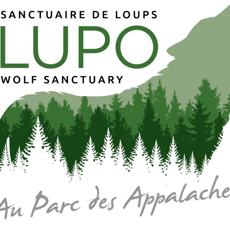 cover art for Sanctuaire de Loups LUPO