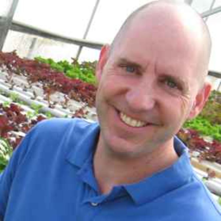 cover art for Greenhouses & guts, interview with Joe Swartz pt 2