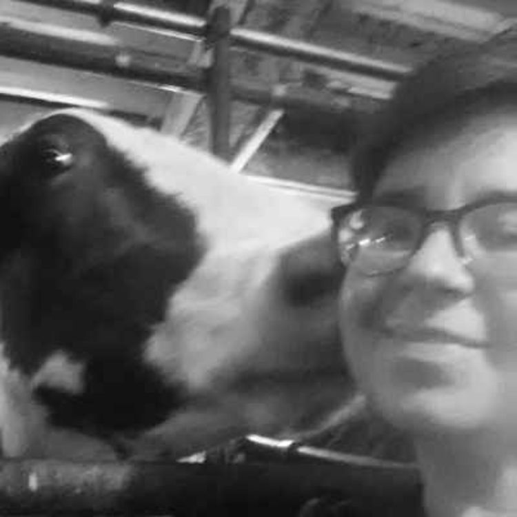 cover art for Rebecca Seidel, dairy farmer & cheesemaker