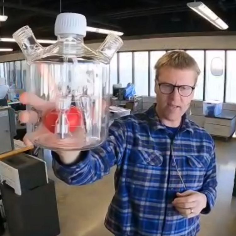 cover art for From Theory to Reality