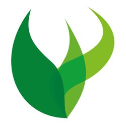 cover art for Into the mind by the ALIUS Research Group