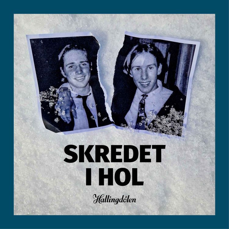 cover art for Skredet i Hol (1:1)