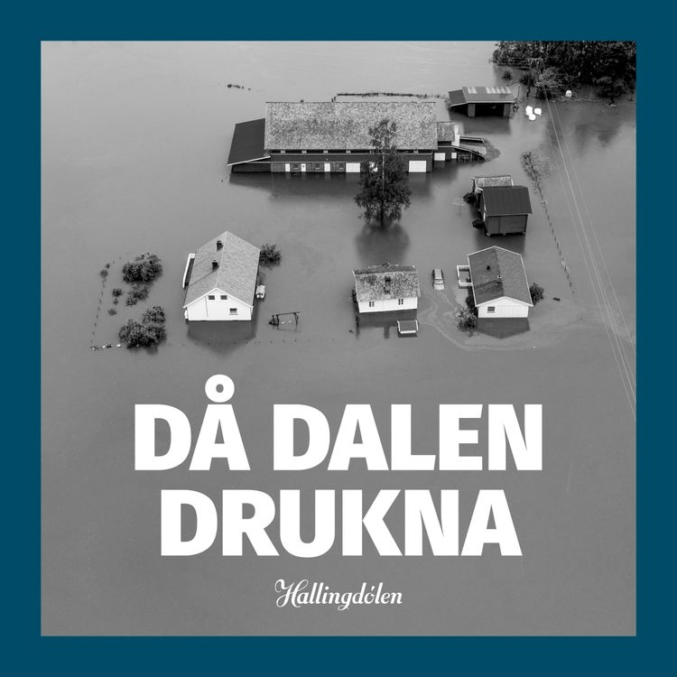 cover art for Då dalen drukna (2:3) - Det var verre enn eg trudde