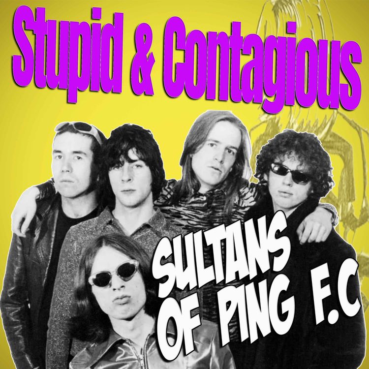 cover art for #32 / 90s Guitar Bands - Sultans Of Ping F.C