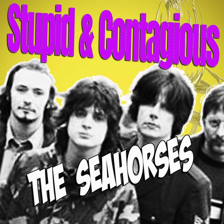 cover art for #38 / 90s Guitar Bands - The Seahorses