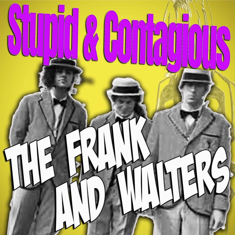 cover art for #62 / 90s Guitar Bands - The Frank & Walters