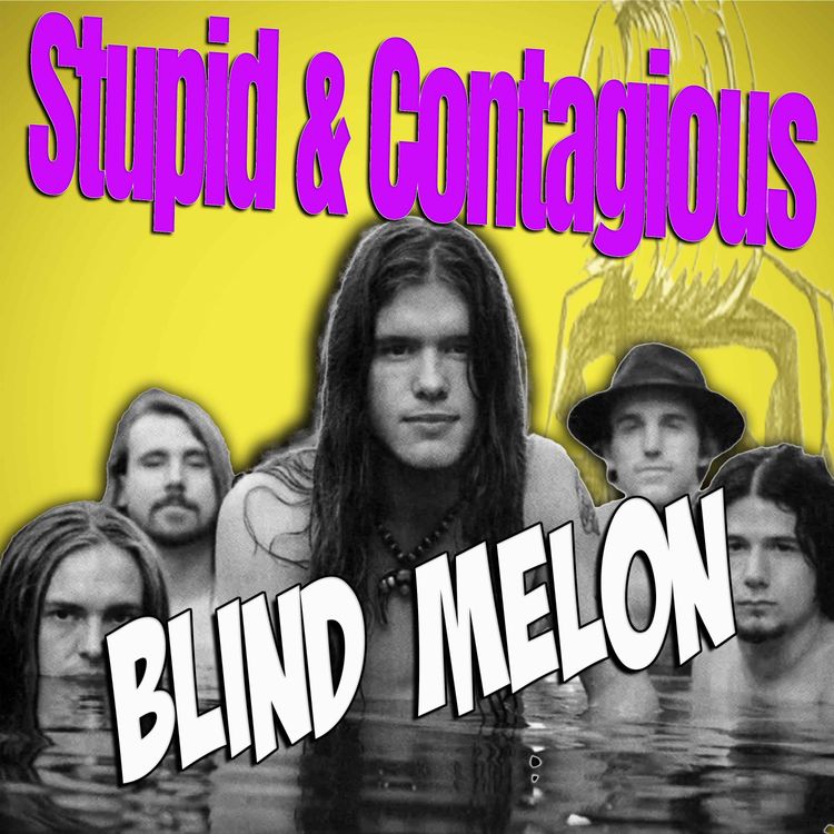 cover art for #64 / 90s Guitar Bands - Blind Melon