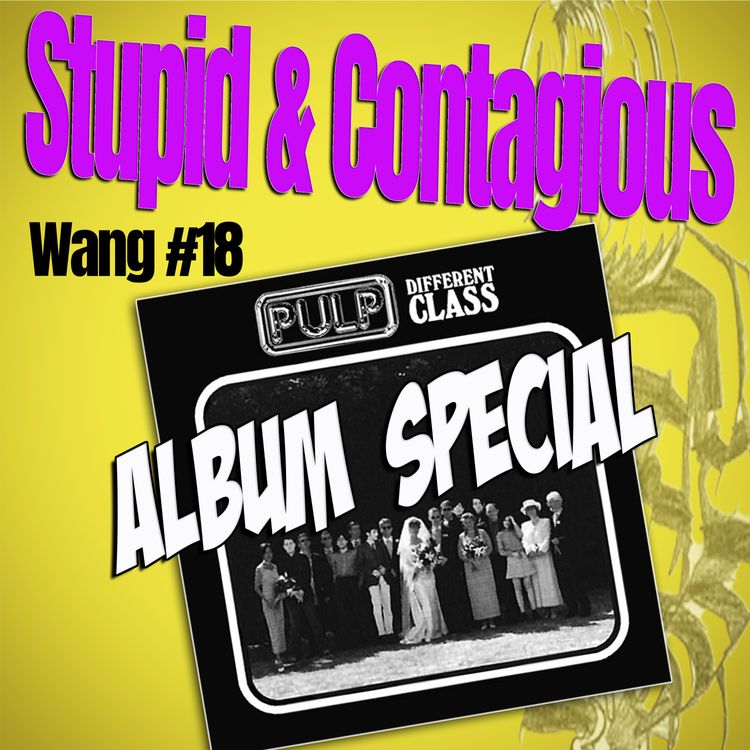 cover art for #89 / 90s Guitar Bands - Wang #18