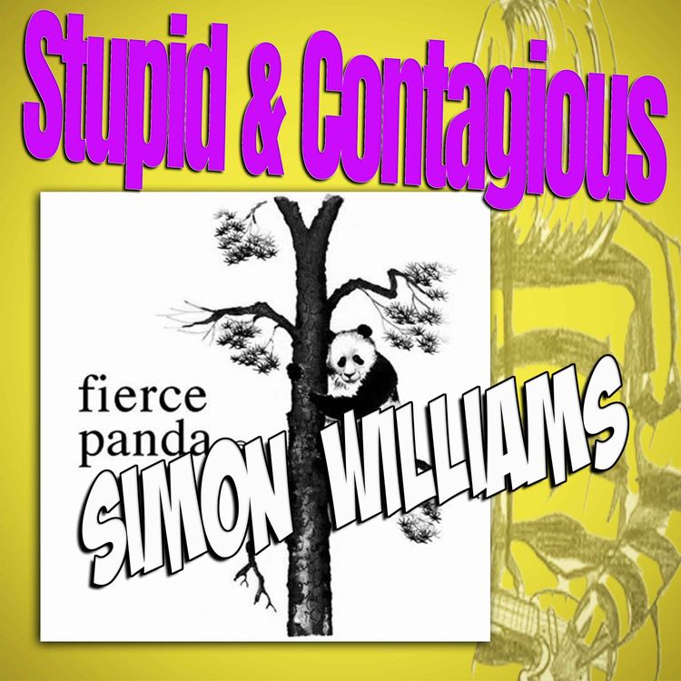 cover art for #90 / 90s Guitar Bands - Fierce Panda