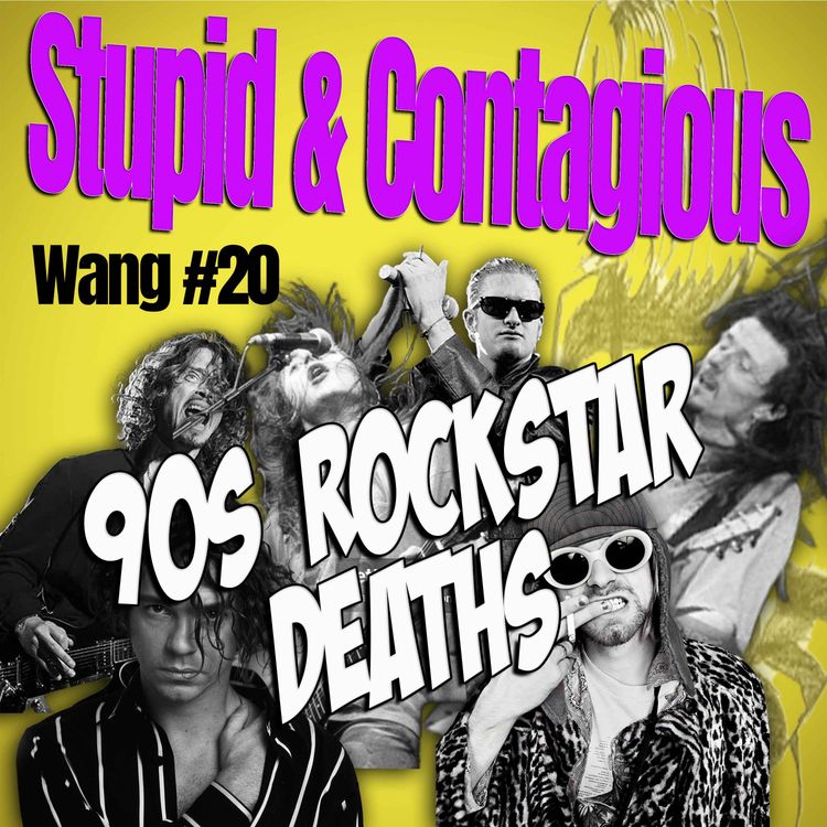 cover art for #97 / 90s Guitar Bands - Wang #20
