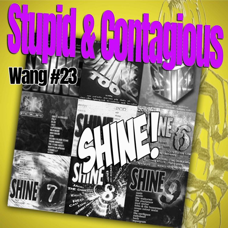 cover art for #118 / 90s Guitar Bands - Wang #23