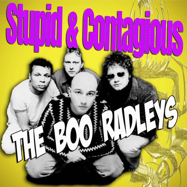 cover art for #119 / 90s Guitar Bands - The Boo Radleys