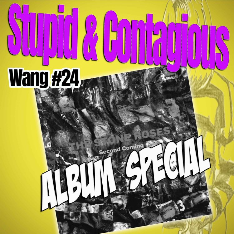 cover art for #122 / 90s Guitar Bands - Wang #24