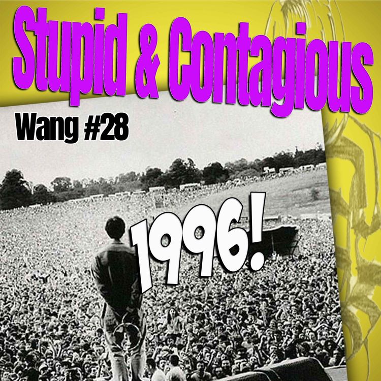 cover art for #141 / 90s Guitar Bands - Wang No. 28