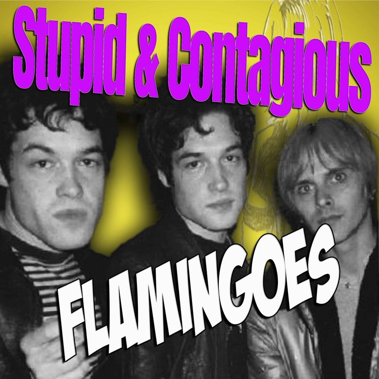 cover art for #147 / 90s Guitar Bands - Flamingoes