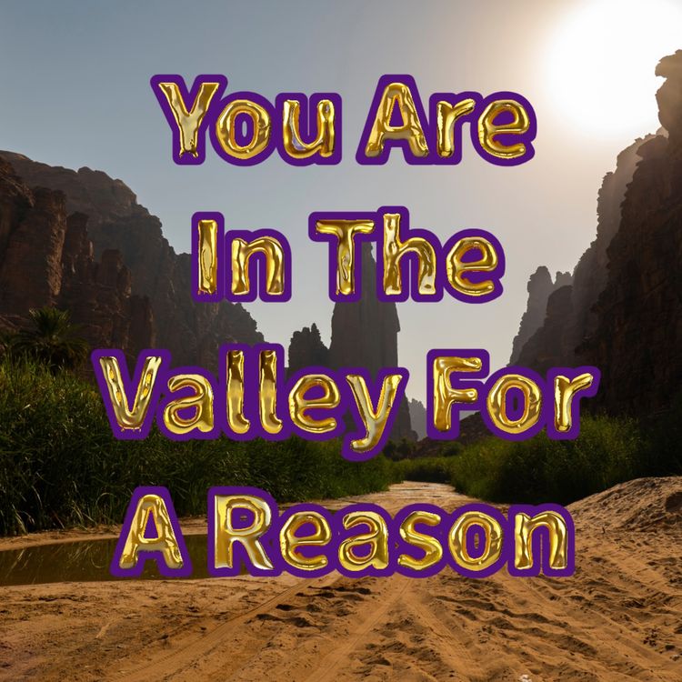 cover art for You Are In The Valley For A Reason