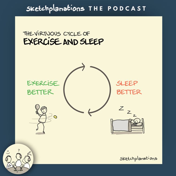 cover art for The Virtuous Cycle of Exercise & Sleep