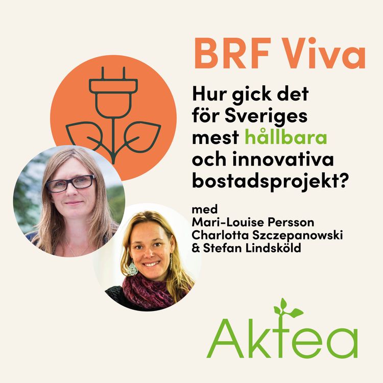 cover art for BRF Viva