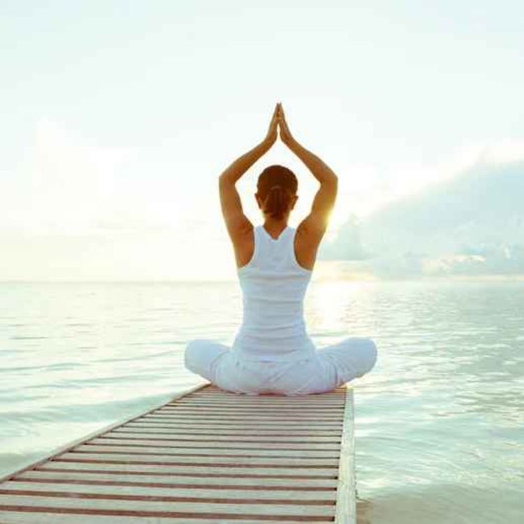 cover art for Body wellness