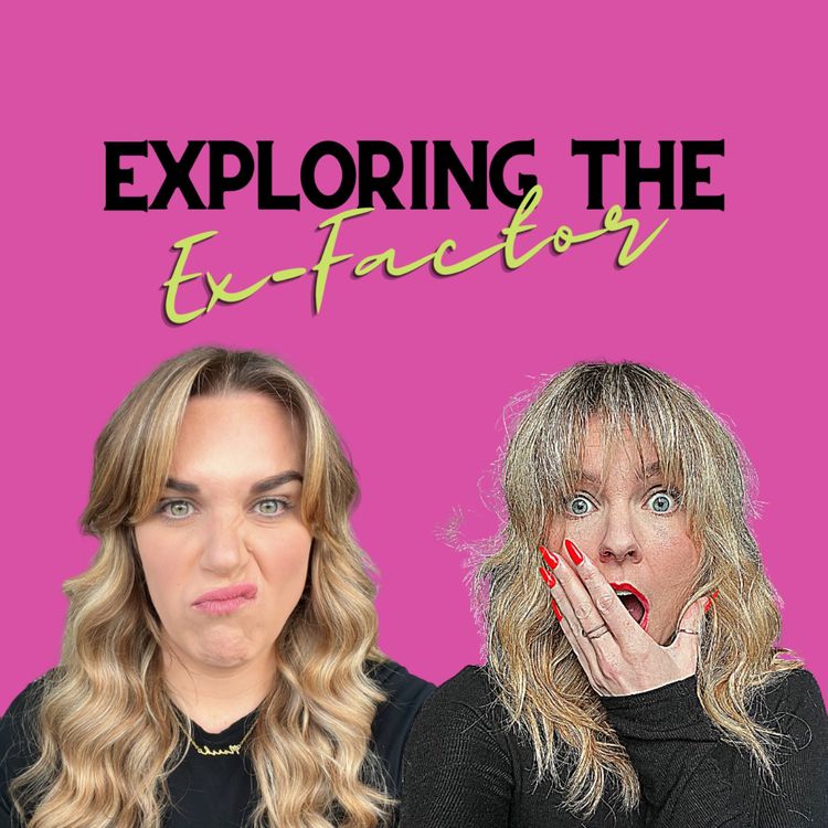 cover art for The Ex-Factor