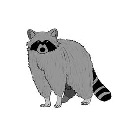 cover art for Three Raccoons At The Salad Bar