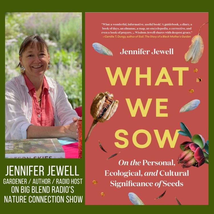 cover art for Jennifer Jewell - What We Sow