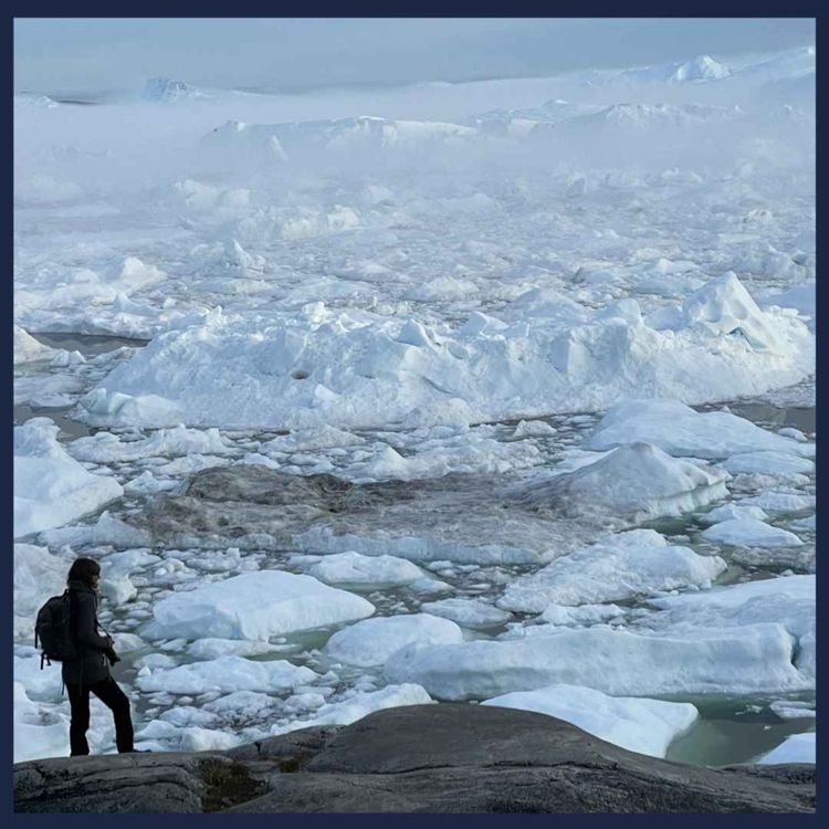 cover art for Discover the Wonders of Greenland with Albatros Expeditions