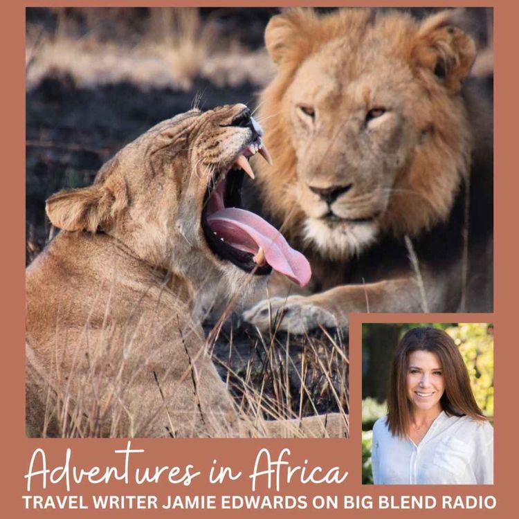 cover art for Travel Writer Jamie Edwards - Adventures in Africa