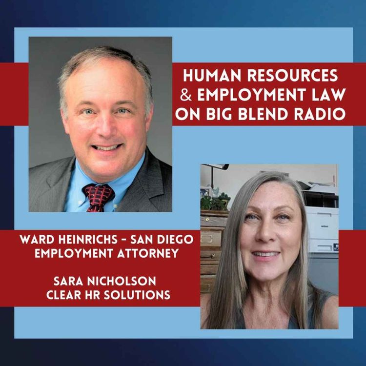 cover art for How Human Resource Specialists and Employment Lawyers Help Businesses