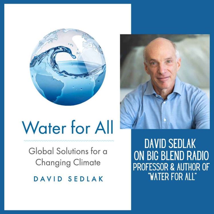 cover art for David Sedlak - Water For All