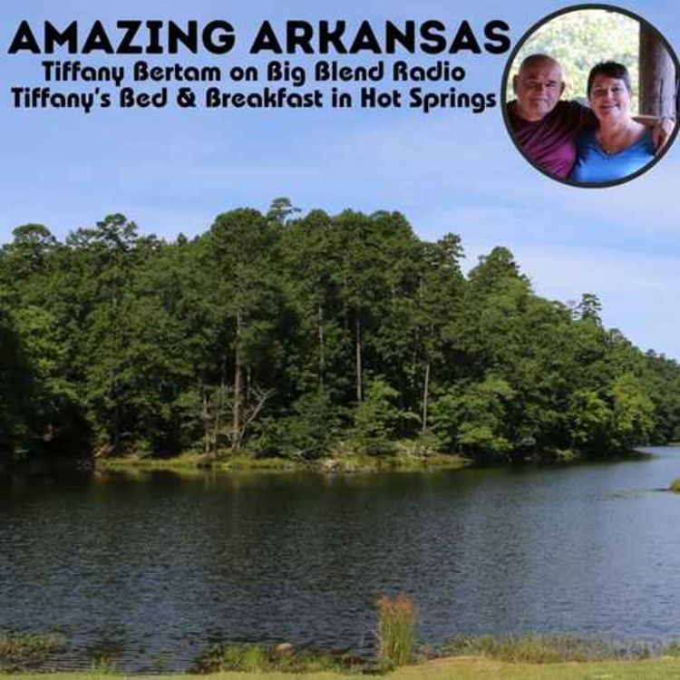 cover art for Tiffany Bertram - Amazing Arkansas!