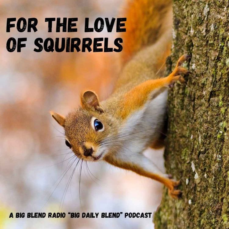 cover art for Big Daily Blend - For the Love of Squirrels