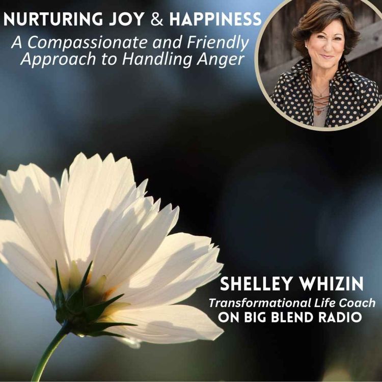 cover art for Shelley Whizin - How to Handle Anger