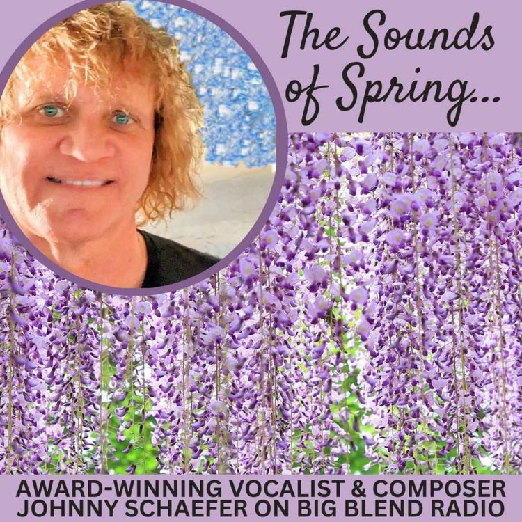 cover art for Johnny Schaefer - The Sounds of Spring
