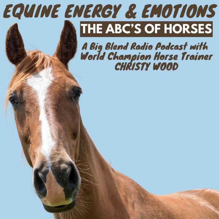 cover art for Christy Wood - Equine Energy and Emotions