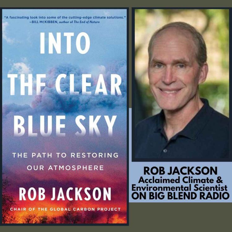 cover art for Rob Jackson - Into The Clear Blue Sky