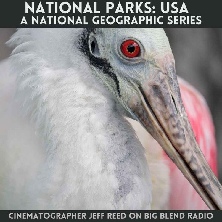 cover art for Cinematographer Jeff Reed - Nature and Wildlife in National Parks