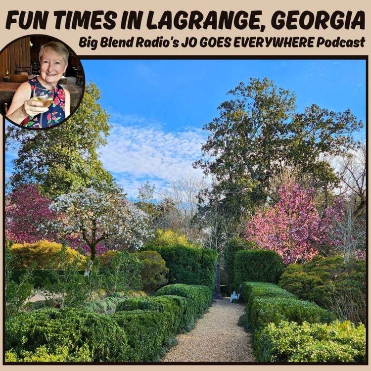 cover art for Jo Clark - Fun Times in LaGrange, Georgia