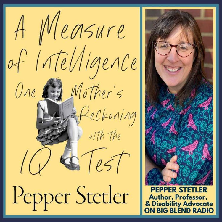 cover art for Pepper Stetler - A Measure of Intelligence