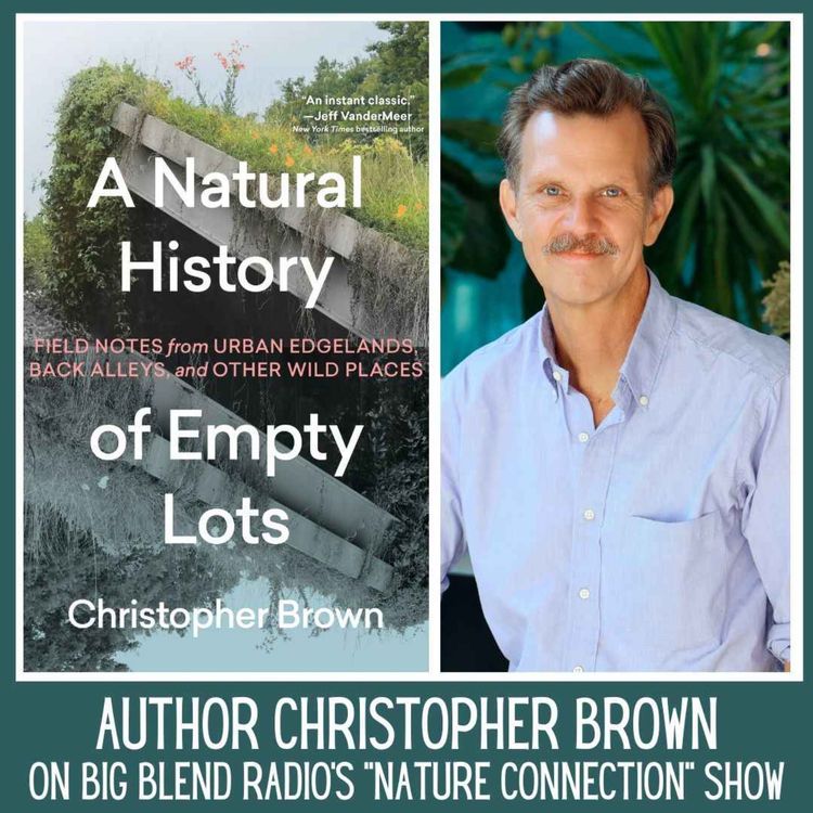 cover art for Author Christopher Brown - A Natural History of Empty Lots